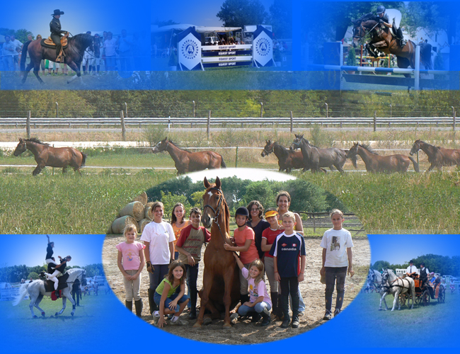 Equest Sport Közhasznú Alapítvány: lovaglás, lovassportok népszerűsítése