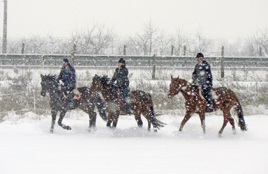 lovaglás hóesésben